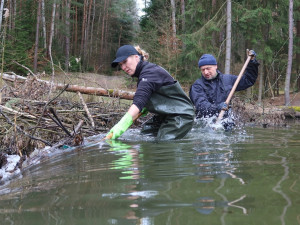 Pod bobřím mokřadem uniká plyn, ochránci přírody z něj upouští vodu kvůli opravě
