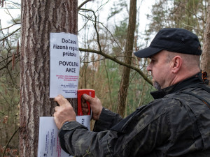 Pod bobřím mokřadem uniká plyn, ochránci přírody z něj upouští vodu kvůli opravě