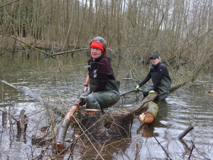 Pod bobřím mokřadem uniká plyn, ochránci přírody z něj upouští vodu kvůli opravě