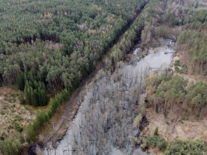 Pod bobřím mokřadem uniká plyn, ochránci přírody z něj upouští vodu kvůli opravě