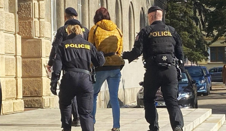 Do vazby poslal soud mladou ženu, která měla pod vlivem drog ubodat nožem seniora