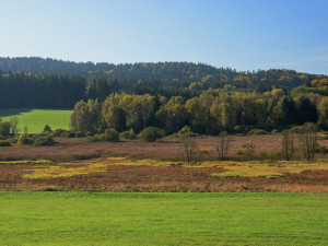 Šetrné zemědělství prospívá krajině, území u Nemanic pokrývají vzácné druhy orchidejí