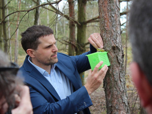 Ministr životního prostředí Petr Hladík se osobně účastnil instalace pastí v Plzni
