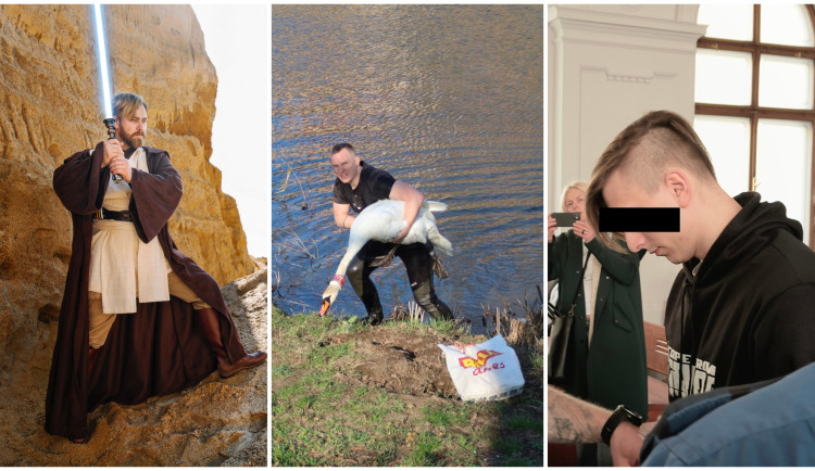 BŘEZEN 2022: Plzeňský Obi-Wan, agresivní labuťák i ostře sledovaný soud s mladým Ukrajincem