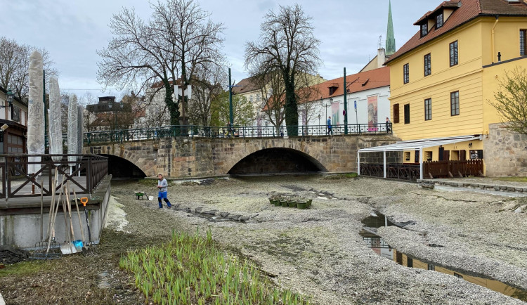 Plzeňské Benátky jsou bez vody i barevných koi kaprů, oblíbené jezírko prochází očistou