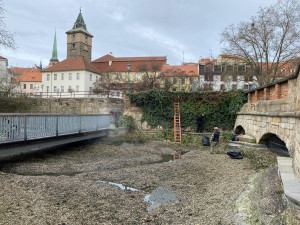 Jezírko přezdívané jako plzeňské Benátky je bez vody i barevných koi kaprů, prochází očistou