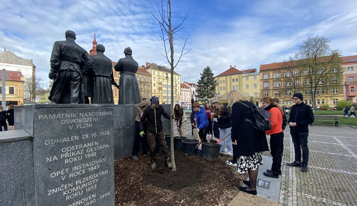 Původní lípu u pomníku T. G. Masaryka umořili lidé a psi močením, druhou polámal vandal, třetí snad už vydrží