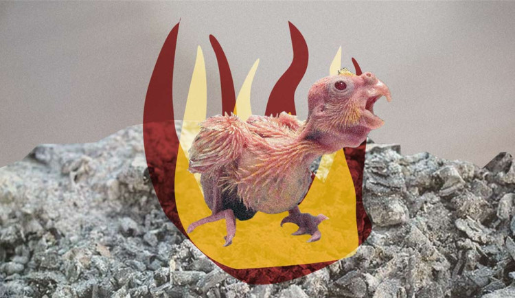 Autorka úvodní grafiky: Lenka Matoušková