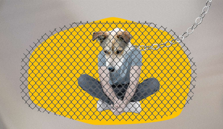 Autorka úvodní grafiky: Lenka Matoušková