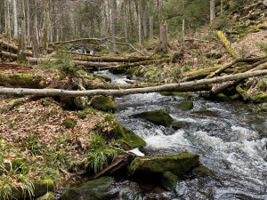 Na Luzný budete stoupat podél divokého potoka s vodopády