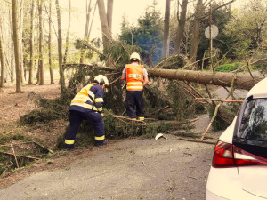 VIDEO: Na jedoucí auto spadl strom. Ze zdemolovaného vozu vyprošťovali hasiči těžce zraněnou ženu