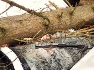 VIDEO: Na jedoucí auto spadl strom. Ze zdemolovaného vozu vyprošťovali hasiči těžce zraněnou ženu