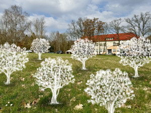 Obyvatelé sídlištního obvodu mohou poprvé sami rozhodnout o části investic