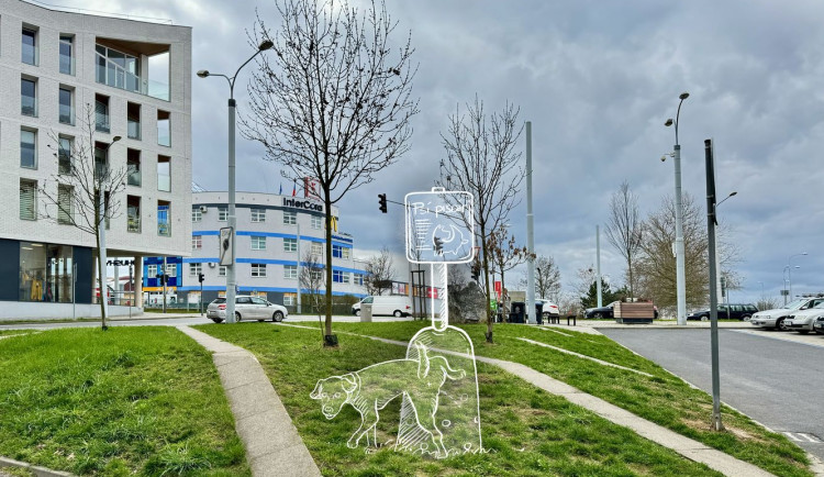 Jedním z návrhů jsou třeba psí pioáry.