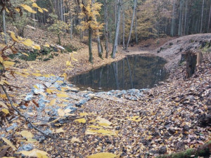 Lesníci obnovili dvě historické nádrže a tůň s vodou ze zámecké studánky