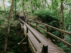 Výletní místo určitě brzy přiláká turisty a návštěvníky zámeckého parku. Vede tam naučná stezka, nedaleko je zřícenina hradu Lopata i vyhlídka Mariina skála. Foto: NPÚ