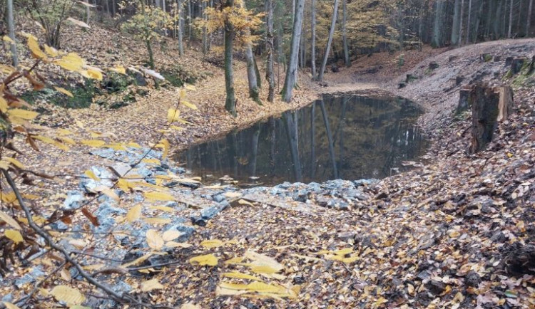 Tůň Šťáhlavický kozlík