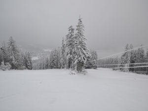 Situace na Špičáku, zdroj: https://lyzovani.spicak.cz