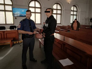 Žalobce navrhuje pro mladého Ukrajince 18 let vězení, zneužil a pokusil se zabít školačku