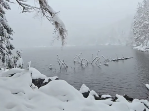 Čertovo jezero, zdroj: We Love Šumava