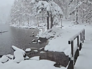 Čertovo jezero, zdroj: We Love Šumava