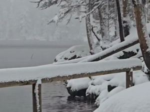 Čertovo jezero, zdroj: We Love Šumava