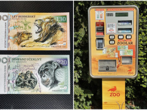 Plzeňská zoo vydala novou opičí bankovku, peníze z prodeje Zoolarů půjdou na ochranu zvířat