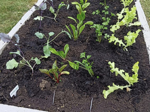 foto: Tereza Koudelková