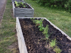 foto: Tereza Koudelková