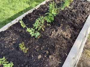 foto: Tereza Koudelková