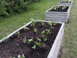 foto: Tereza Koudelková