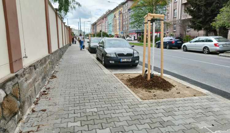 U fakultní nemocnice na Borech vzniklo 52 nových parkovacích míst, přibylo i stromů
