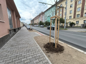 U fakultní nemocnice na Borech vzniklo 52 nových parkovacích míst, přibylo i stromů