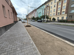 U fakultní nemocnice na Borech vzniklo 52 nových parkovacích míst, přibylo i stromů