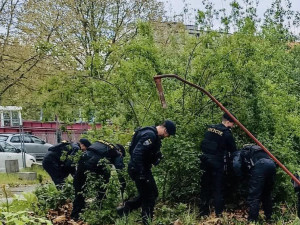 Police důkladně prohledává i širší okolí, zdroj: Policie ČR