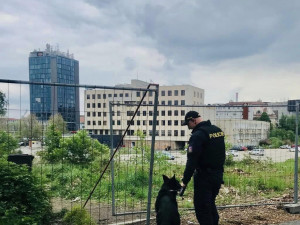 Police důkladně prohledává i širší okolí, zdroj: Policie ČR