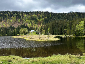 Malé Javorské jezero vás uchvátí krásou tří plovoucích ostrovů. Stromy v okolí ale zdevastoval kůrovec a následná těžba