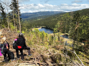 Malé Javorské jezero vás uchvátí krásou tří plovoucích ostrovů. Stromy v okolí ale zdevastoval kůrovec a následná těžba