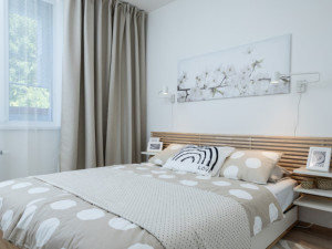 Zájem o bydlení v nájmu se i v Česku dostává do popředí