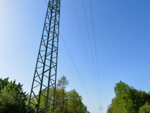 Stromy pod elektrickým vedením v největším městském parku musely pryč, nahradila je rozlehlá louka