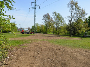Stromy pod elektrickým vedením v největším městském parku musely pryč, nahradila je rozlehlá louka