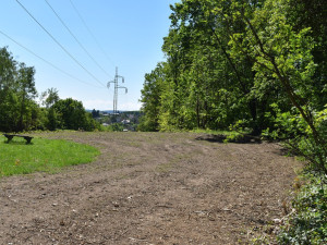 Stromy pod elektrickým vedením v největším městském parku musely pryč, nahradila je rozlehlá louka