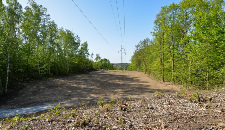 Stromy pod elektrickým vedením v největším městském parku musely pryč, nahradila je rozlehlá louka