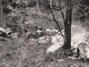 Trup vrtulníku se převrátil do potoka a částečně shořel, zdroj: Letecká badatelna