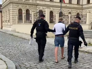 Muž tehdy skončil ve vazbě.