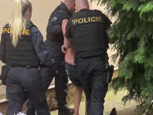 Snímek ze zadržení