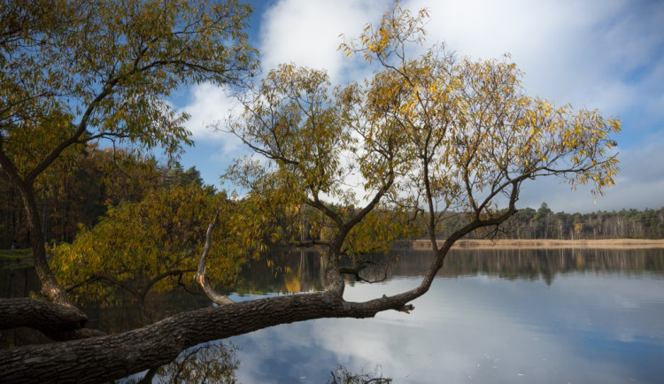 Rampa pro vozíčkáře u Kamenného rybníka nakonec nebude, proti byli samotní invalidé