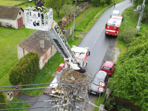 Hasiči snesli mláďata z hnízda