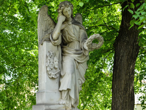 Slavného truchlícího anděla hlídajícího hrob J. K. Tyla vysvobodili z bedny, která ho chránila před útoky vandalů