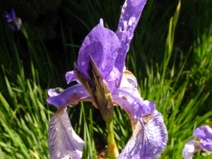 foto: Radka Matulová